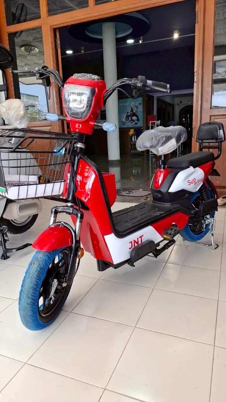 LION-EV M-A6000-2
