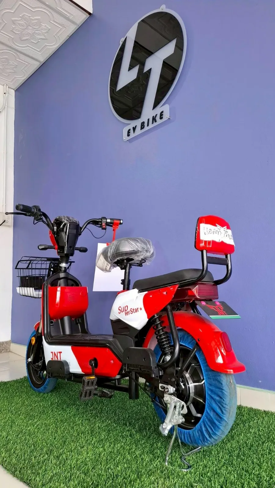 LION-EV M-A6000-2