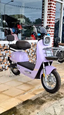 LION-EV LION-L02
