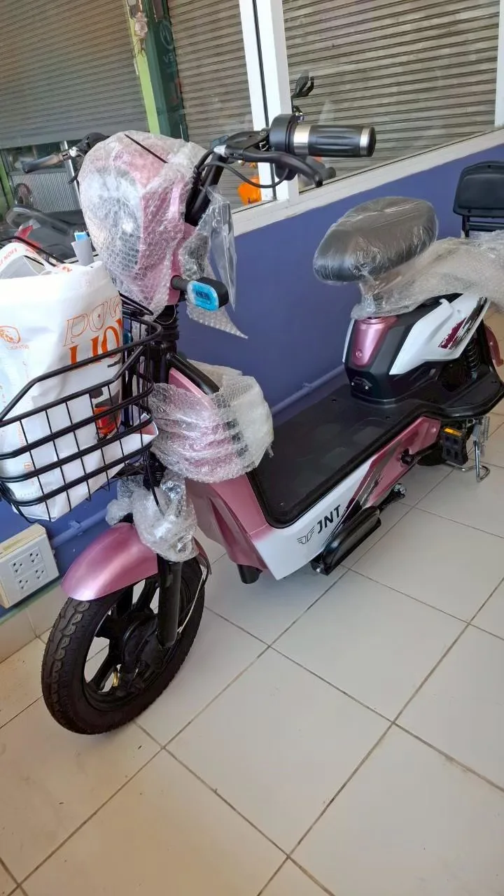 LION-EV M-A6000-2
